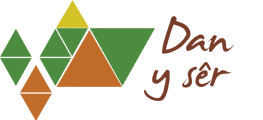 Logo Dan y Ser